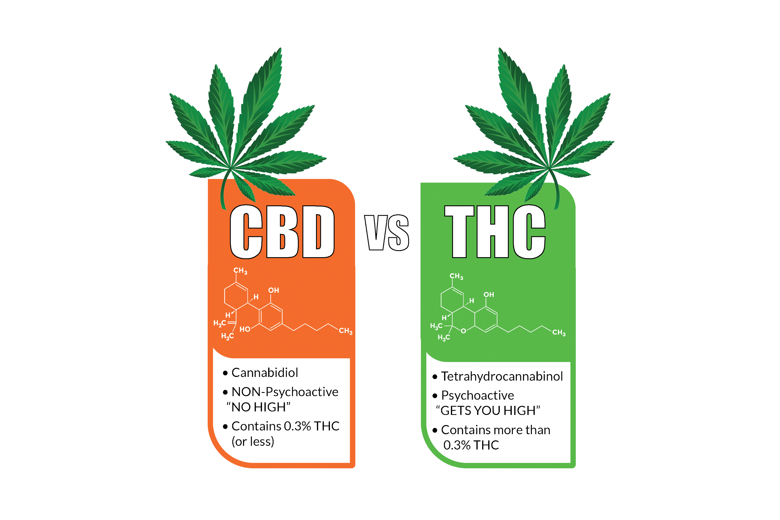 cbd-öl intimbereich