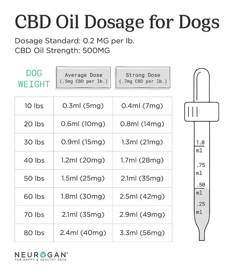 cbd öl katzen